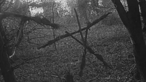 El proyecto de la bruja de Blair. El proyecto de la bruja de Blair.