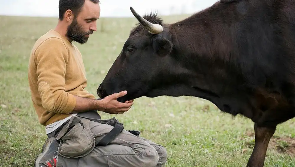 Edu con un toro