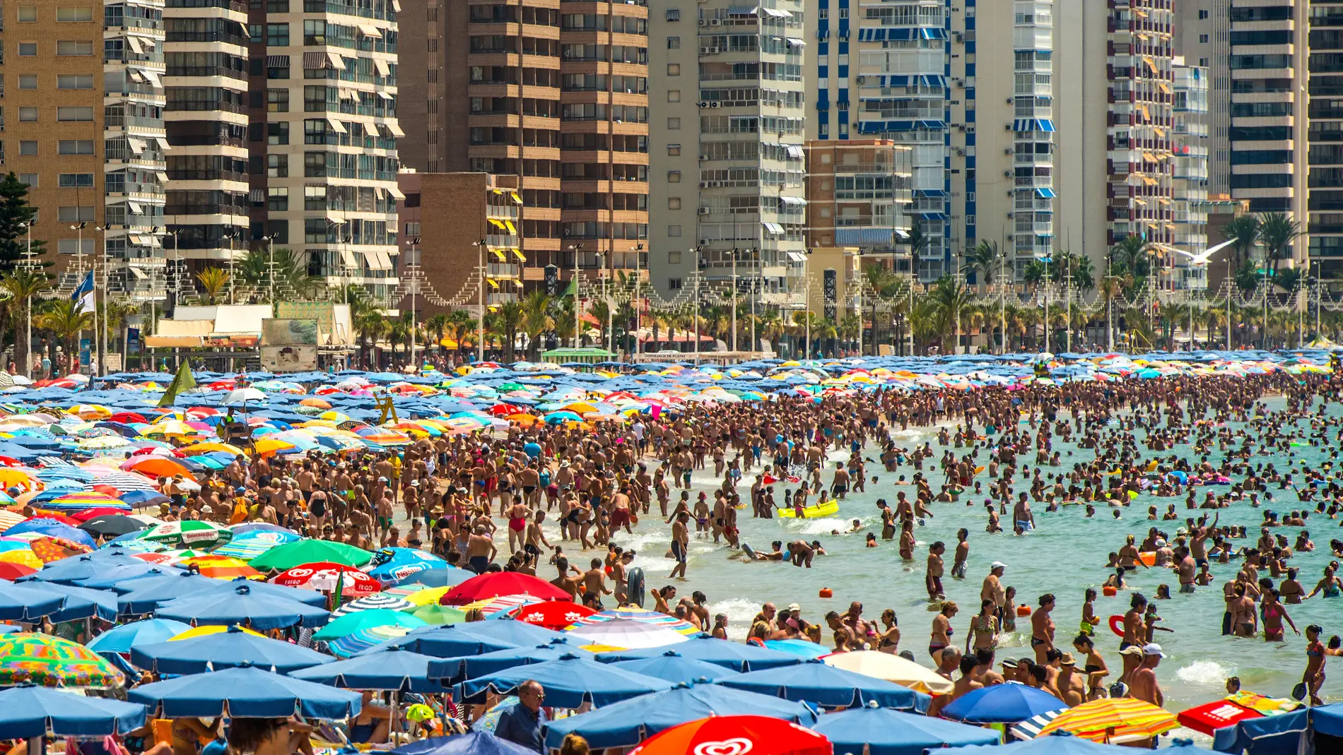 Playa de Benidorm en temporada alta 