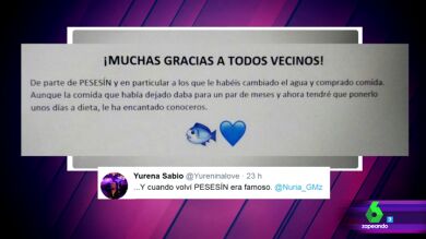 ¿Recuerdas a Pesesín? Este ha sido el final del pez más viral de España