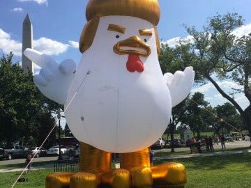 Trump Chicken, frente a la Casa Blanca