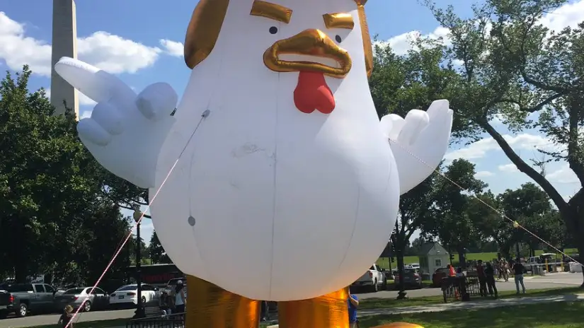 Trump Chicken, frente a la Casa Blanca