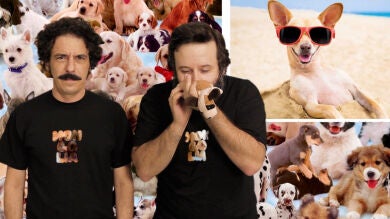 Edu Galán y Darío Adanti explican por qué es mucho mejor tener perros que hijos