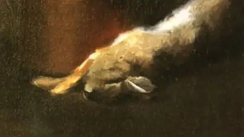 Dead Rabbit Dead Rabbit