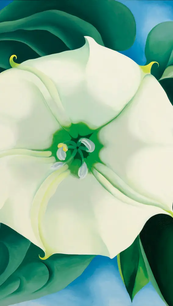La Flor Blanca