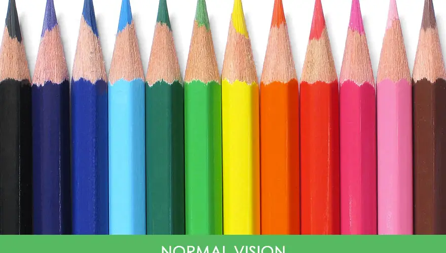different-types-color-blindness-photos-26.jpg
