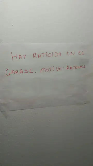 22JuanMayo.jpg Liopardo