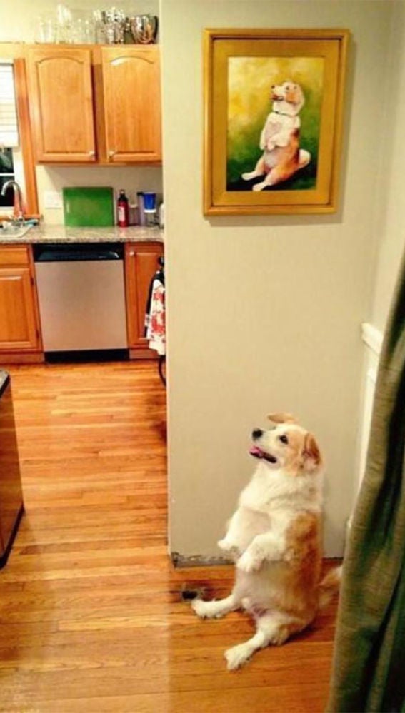 Liopardo