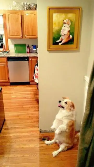 life-imitating-art-24-58b6cfef534a2__605.jpg Liopardo
