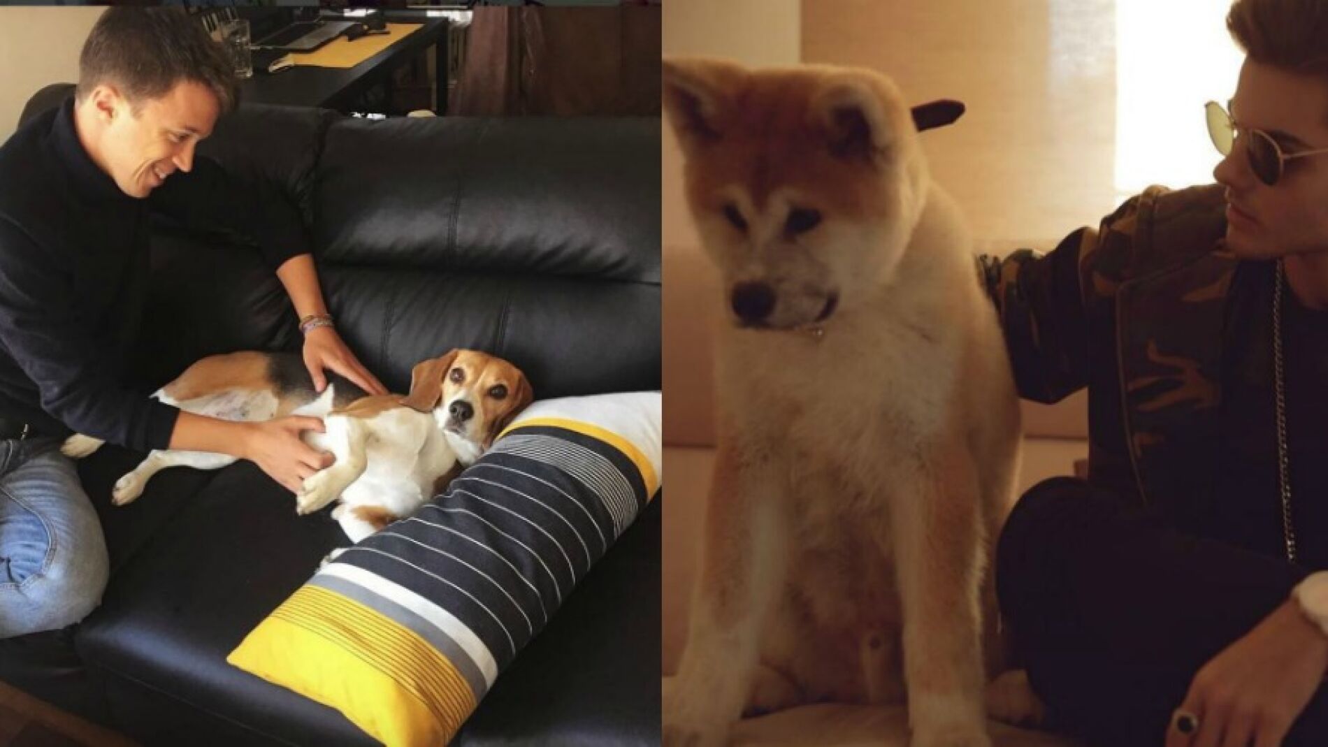 abrahamer o errejoner