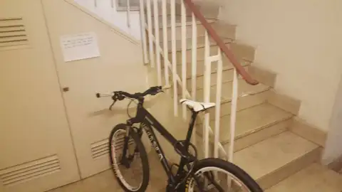 22irenefabregat1.jpg Liopardo