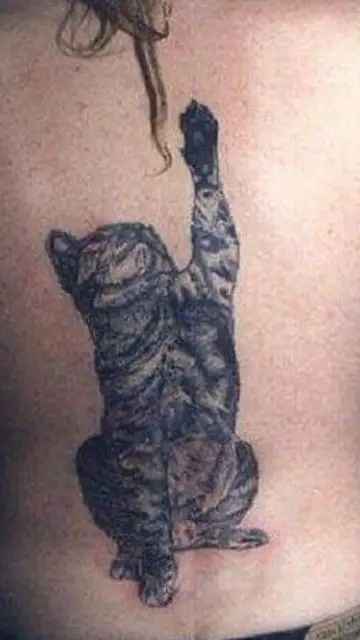 origitatus6.png Liopardo