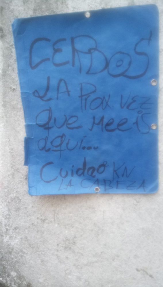 Liopardo