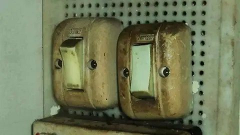 parrei5.jpg Liopardo