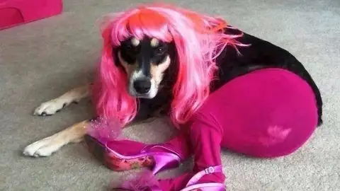 ni%C3%B1oscotas3.jpg Liopardo