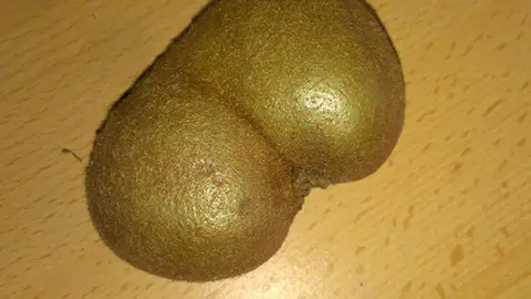 lott17.jpg Liopardo