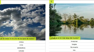 ¿Recuerdas estas diez cosas que aprendiste de memoria en el cole? Parte II