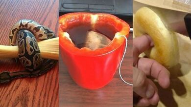 20 ideas tan absurdas que no sabes como no se te habían ocurrido antes