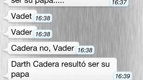 whatsapp1-480x386.jpg Liopardo
