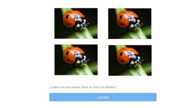 RETO VISUAL: ¿Puedes ver todas las diferencias en estas fotos?