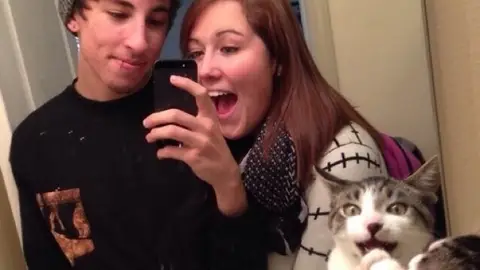gatcat1.jpg Liopardo