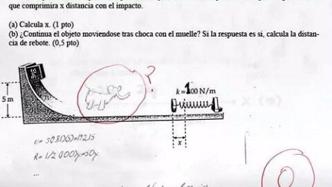 Liopardo