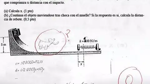 respuestass18.jpg Liopardo