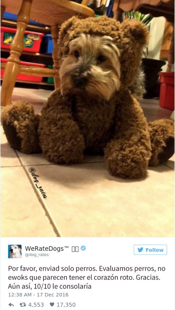 Liopardo