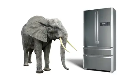 elefantefridge.jpg Liopardo