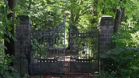 OCULTAA2.jpg Liopardo