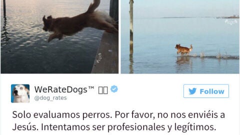 Liopardo