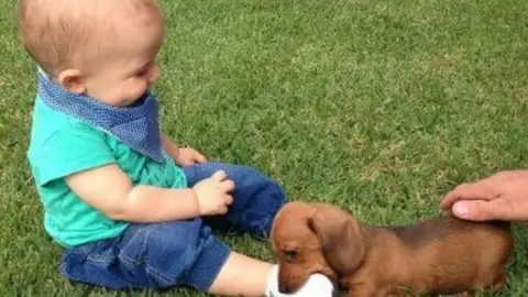 20-fotos-que-demuestran-que-cualquier-nino-debe-crecer-con-un-perro-1507628533.jpg Liopardo