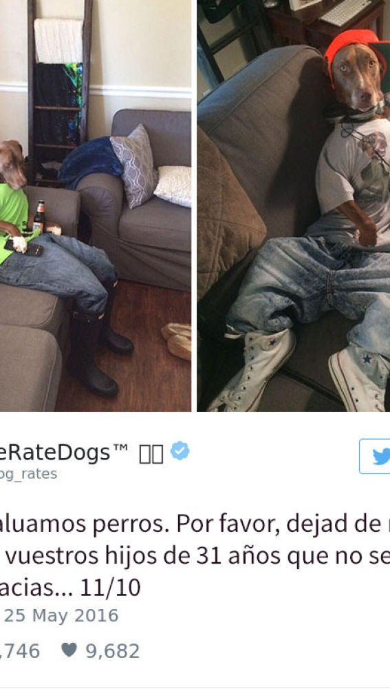 Liopardo