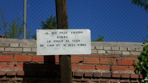 Liopardo
