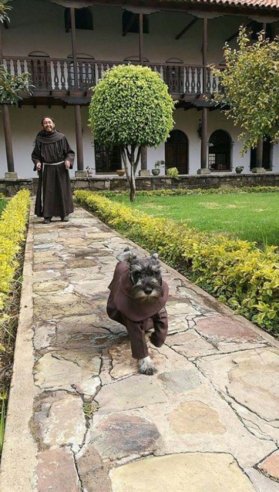 Liopardo