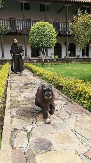 Liopardo