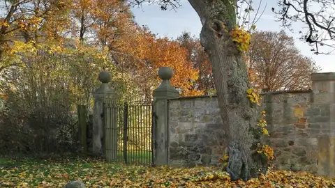 OCULTAA5.jpg Liopardo