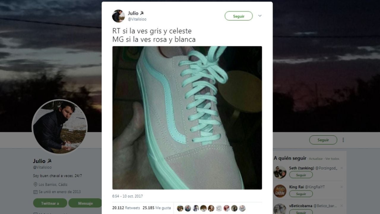 El dilema de la zapatilla gris y celeste o rosa y blanca puede