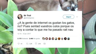 ¿A la gente de internet os gustan los gatos, no? Sentad vuestros culos porque os voy a contar lo que me ha pasado