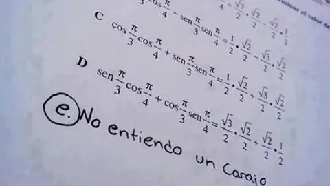 respuestass14.jpg Liopardo
