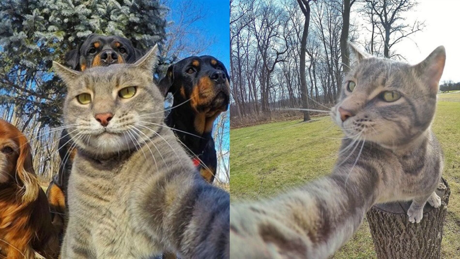 MANNYSELFIE2017.jpg