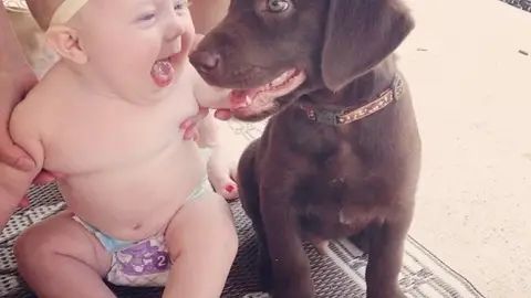 20-fotos-que-demuestran-que-cualquier-nino-debe-crecer-con-un-perro-1507628489.jpg Liopardo
