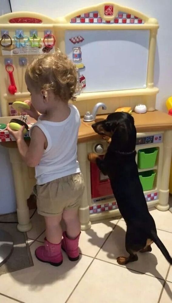Liopardo