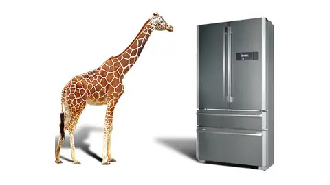 11a418e1-3651-4c1c-ac7d-d462e6347e9e.jpg Liopardo