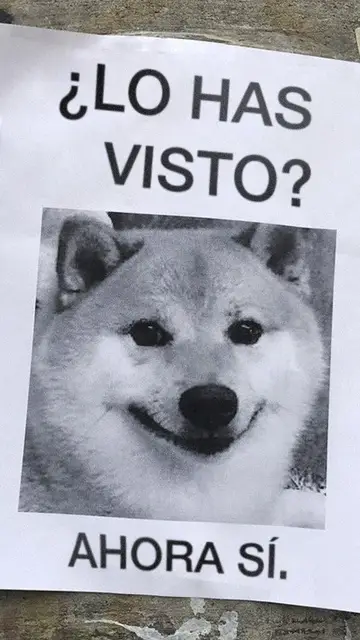 carrrtles1.jpg Liopardo
