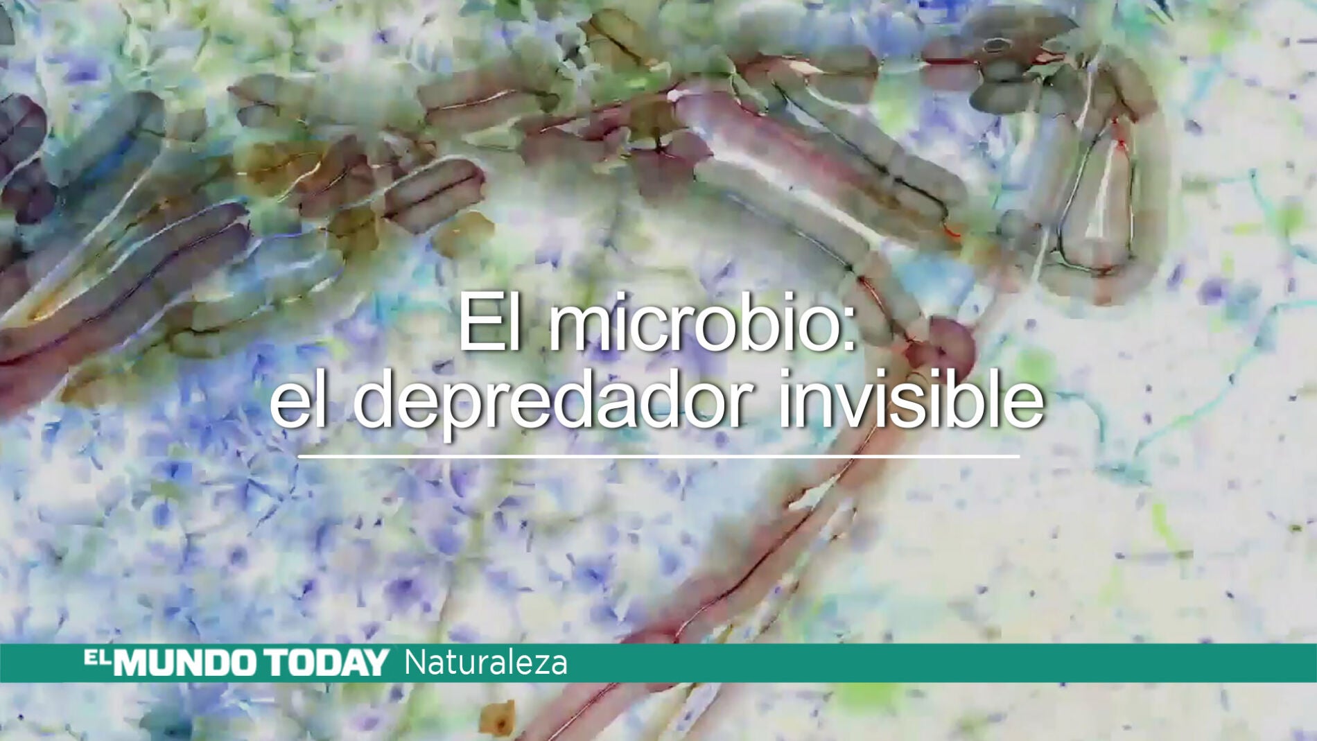emtmicrobios.jpg