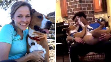 ¿Los animales más fieles del mundo? Este perro rompe con el mito de la forma más adorable