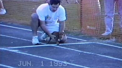 ¿El perro más tramposo del mundo? Así gana este pícaro perro una carrera