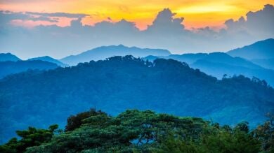 ¿Podrías sobrevivir en la naturaleza? 