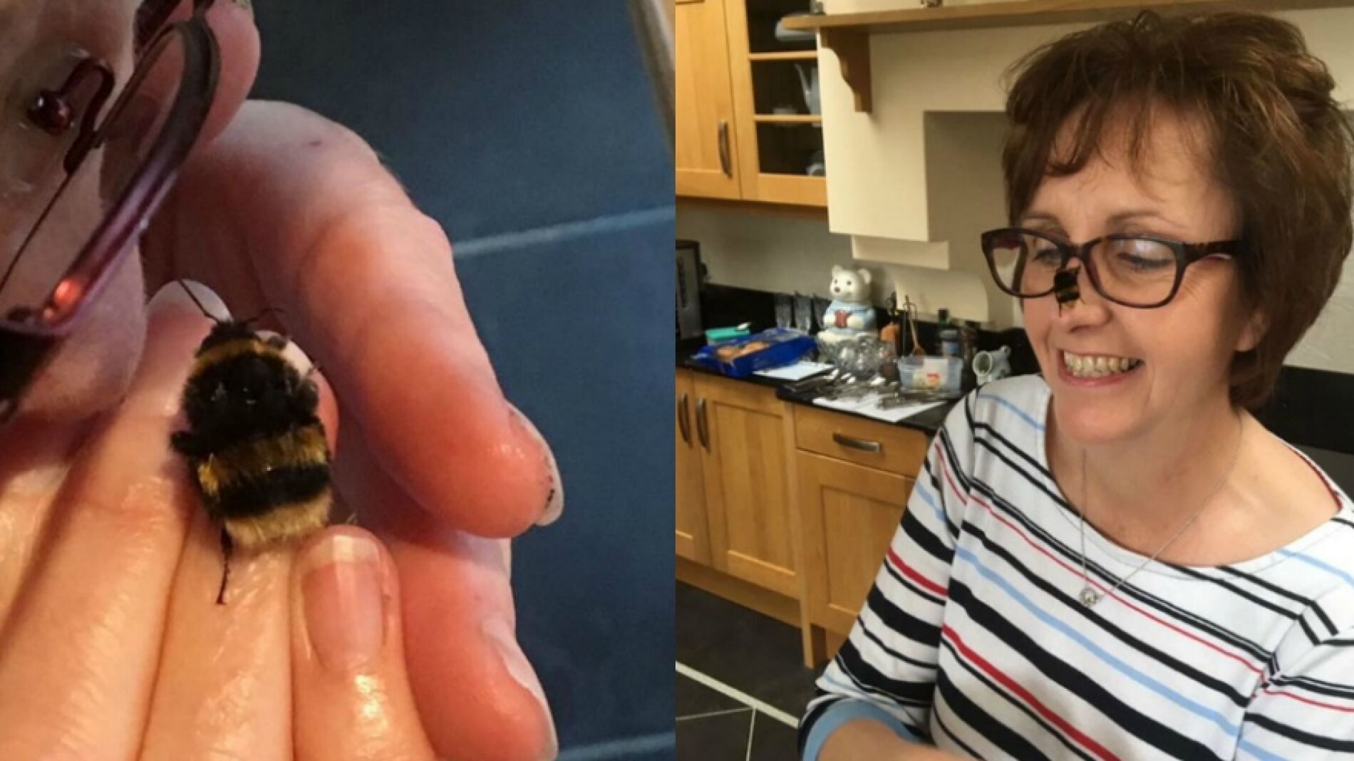 Fiona Presly y su abeja